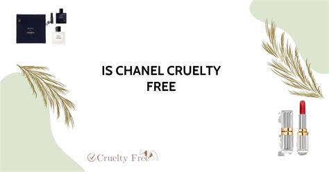 chanel is cruelty free|is clinical cruelty free.